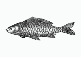 Brian Storm - Illustration & Design