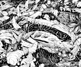 Brian Storm - Illustration & Design