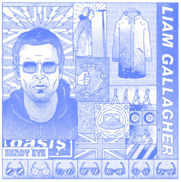 Liam Gallagher Illustration von Brian Storm