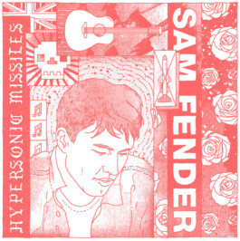 Sam Fender Porträt Illustration von Brian Storm