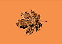 Blatt Illustration von Brian Storm