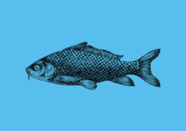 Fisch Illustration von Brian Storm