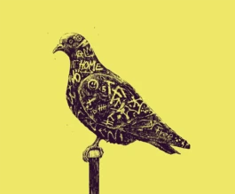 Brian Storm - Illustration & Design