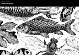 Brian Storm - Illustration & Design