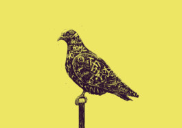 Taube Magazin Editorial Illustration von Brian Storm