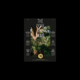 THE DORF Cover von Studio Vista